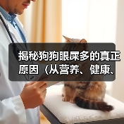 揭秘狗狗眼屎多的真正原因（从营养、健康、环境三方面解析狗狗眼屎多的成因）(图3)
