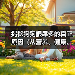 揭秘狗狗眼屎多的真正原因（从营养、健康、