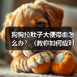 狗狗拉肚子大便带血怎么办？（教你如何应对犬只消化系统问题）(图3)