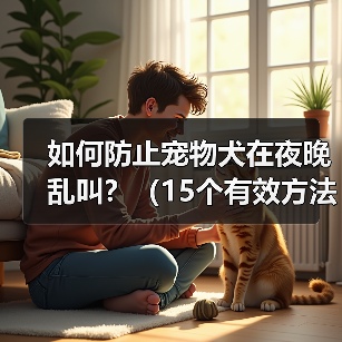 如何防止宠物犬在夜晚乱叫？（15个有效方法让你的宠物犬安静一夜）(图4)