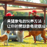 黄腿象龟的饲养方法（让你的黄腿象龟健康成长）(图4)