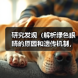 研究发现（解析绿色眼睛的原因和遗传机制，探讨英国人的眼色特点。）(图2)