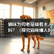 猫咪为何老是缠着主人叫？（探究猫咪缠人叫