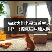 猫咪为何老是缠着主人叫？（探究猫咪缠人叫的原因及如何应对）(图4)