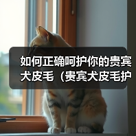 如何正确呵护你的贵宾犬皮毛（贵宾犬皮毛护理指南，让你的宠物更健康美丽）(图4)