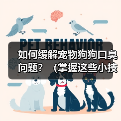 如何缓解宠物狗狗口臭问题？（掌握这些小技巧，让狗狗口气清新舒适）(图3)