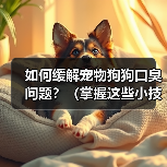 如何缓解宠物狗狗口臭问题？（掌握这些小技巧，让狗狗口气清新舒适）(图4)