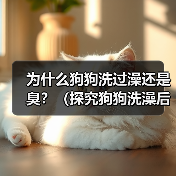 为什么狗狗洗过澡还是臭？（探究狗狗洗澡后依旧散发异味的原因及解决方法）(图2)