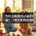 为什么狗狗洗过澡还是臭？（探究狗狗洗澡后依旧散发异味的原因及解决方法）(图3)