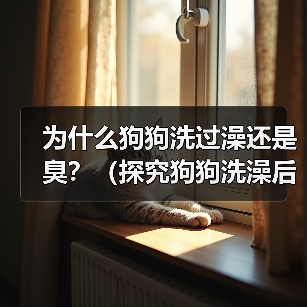 为什么狗狗洗过澡还是臭？（探究狗狗洗澡后依旧散发异味的原因及解决方法）(图4)