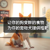 让你的狗变胖的食物（为你的宠物犬提供增肥