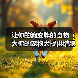 让你的狗变胖的食物（为你的宠物犬提供增肥的健康饮食）(图4)