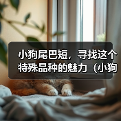 小狗尾巴短，寻找这个特殊品种的魅力（小狗尾巴短的奇特魅力与特征）(图2)