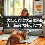 犬结石的症状及预防措施（探究犬结石的常见症状，为您的爱宠提供预防保健建议）(图2)