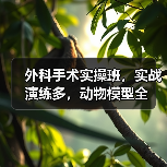 外科手术实操班，实战演练多，动物模型全(图2)
