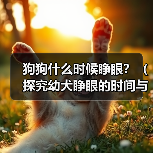 狗狗什么时候睁眼？（探究幼犬睁眼的时间与原因，）(图1)