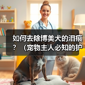如何去除博美犬的泪痕？（宠物主人必知的护理技巧）(图4)