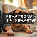 狗腹水检查及诊断方法探析（狗腹水检查的重要性及常见检查方法）(图4)