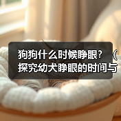 狗狗什么时候睁眼？（探究幼犬睁眼的时间与