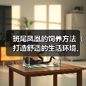 斑尾凤凰的饲养方法（打造舒适的生活环境，健康饮食与细致护理）(图3)