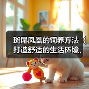 斑尾凤凰的饲养方法（打造舒适的生活环境，