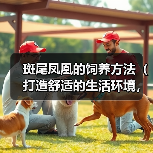 斑尾凤凰的饲养方法（打造舒适的生活环境，健康饮食与细致护理）(图2)