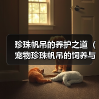 珍珠帆吊的养护之道（宠物珍珠帆吊的饲养与细节）(图2)