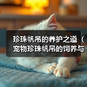 珍珠帆吊的养护之道（宠物珍珠帆吊的饲养与细节）(图3)