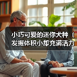 小巧可爱的迷你犬种（发掘体积小却充满活力的狗狗品种）(图3)