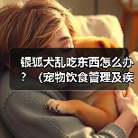 银狐犬乱吃东西怎么办？（宠物饮食管理及疾病预防）(图3)