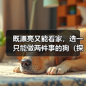 既漂亮又能看家，选一只能做两件事的狗（探讨狗的美观与实用性，让你找到理想的宠物）(图4)