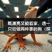既漂亮又能看家，选一只能做两件事的狗（探