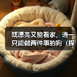 既漂亮又能看家，选一只能做两件事的狗（探讨狗的美观与实用性，让你找到理想的宠物）(图3)