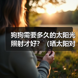 狗狗需要多久的太阳光照射才好？（晒太阳对