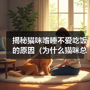 揭秘猫咪嗜睡不爱吃饭的原因（为什么猫咪总是懒洋洋的？为什么猫咪不爱吃饭？）(图4)