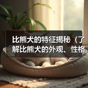 比熊犬的特征揭秘（了解比熊犬的外观、性格和护理需求）(图2)