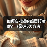 如何应对猫咪感冒打喷嚏？（掌握5大方法，让宠物猫咪健康快乐。）(图3)