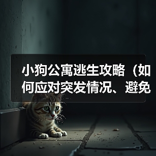 小狗公寓逃生攻略（如何应对突发情况、避免被困？）(图4)