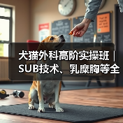 犬猫外科高阶实操班｜SUB技术、乳糜胸等