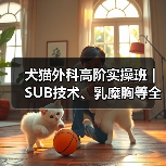 犬猫外科高阶实操班｜SUB技术、乳糜胸等全流程掌握(图3)