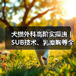 犬猫外科高阶实操班｜SUB技术、乳糜胸等全流程掌握(图2)