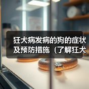 狂犬病发病的狗的症状及预防措施（了解狂犬病，保护你的宠物）(图2)