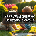 狂犬病发病的狗的症状及预防措施（了解狂犬病，保护你的宠物）(图4)