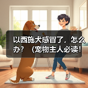 以西施犬感冒了，怎么办？（宠物主人必读！掌握这些关键信息，救救你的萌宠！）(图3)