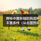 探秘中国各地的狗品种丰富多样（从北国到南