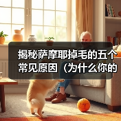 揭秘萨摩耶掉毛的五个常见原因（为什么你的