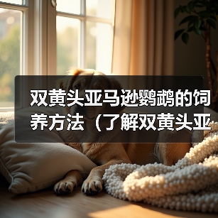 双黄头亚马逊鹦鹉的饲养方法（了解双黄头亚马逊鹦鹉，创造温馨家园）(图4)