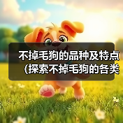 不掉毛狗的品种及特点（探索不掉毛狗的各类品种及其特点，了解为什么这些狗不掉毛）(图2)