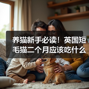 养猫新手必读！英国短毛猫二个月应该吃什么