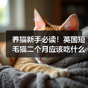 养猫新手必读！英国短毛猫二个月应该吃什么？（探索适合二个月大英国短毛猫的饮食方案）(图2)